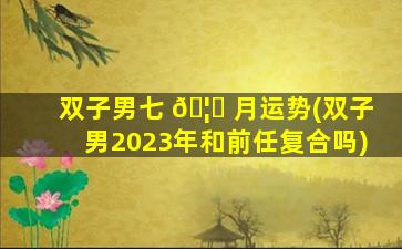 双子男七 🦅 月运势(双子男2023年和前任复合吗)
